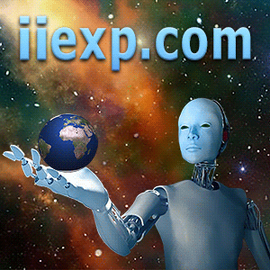 iiexp.com